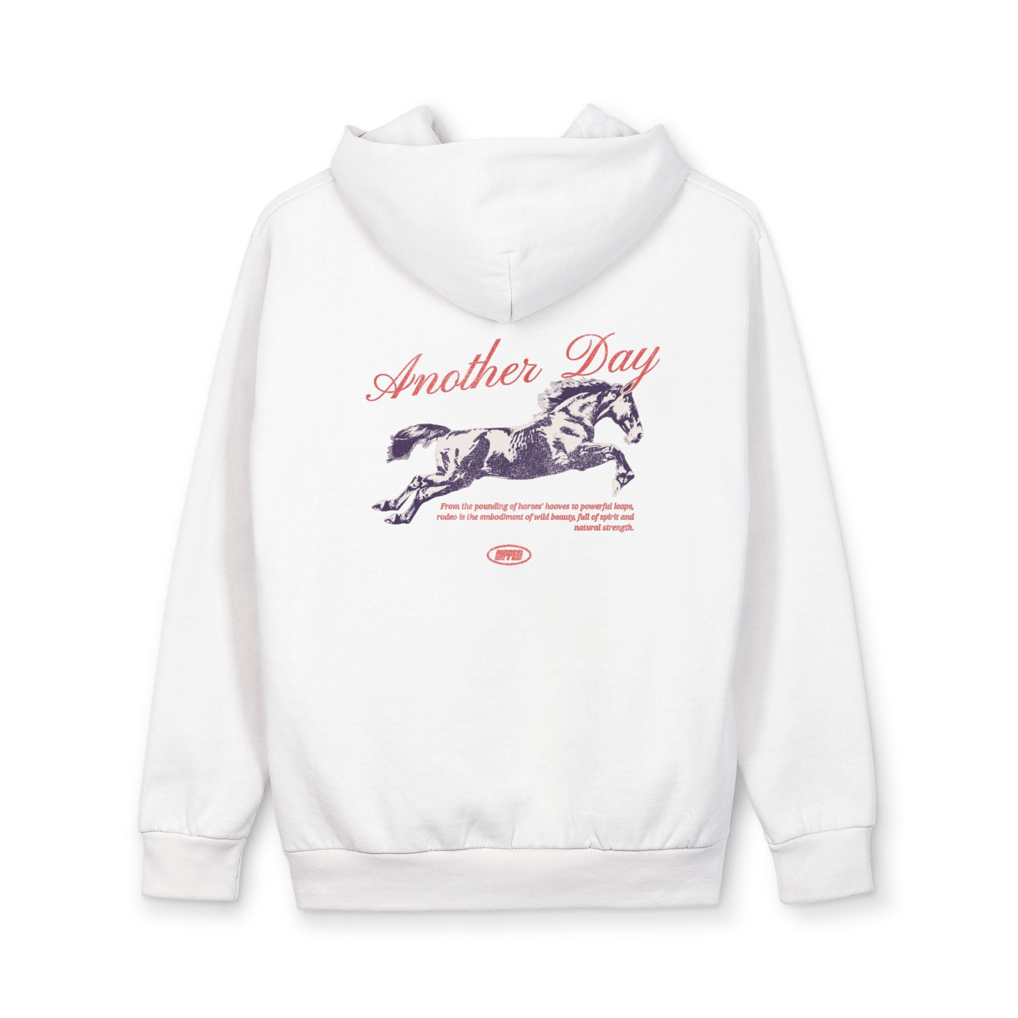 Another Day Horse Graphic Hoodie