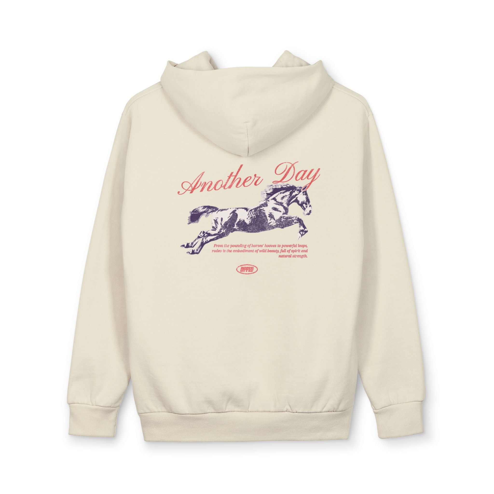 Another Day Horse Graphic Hoodie